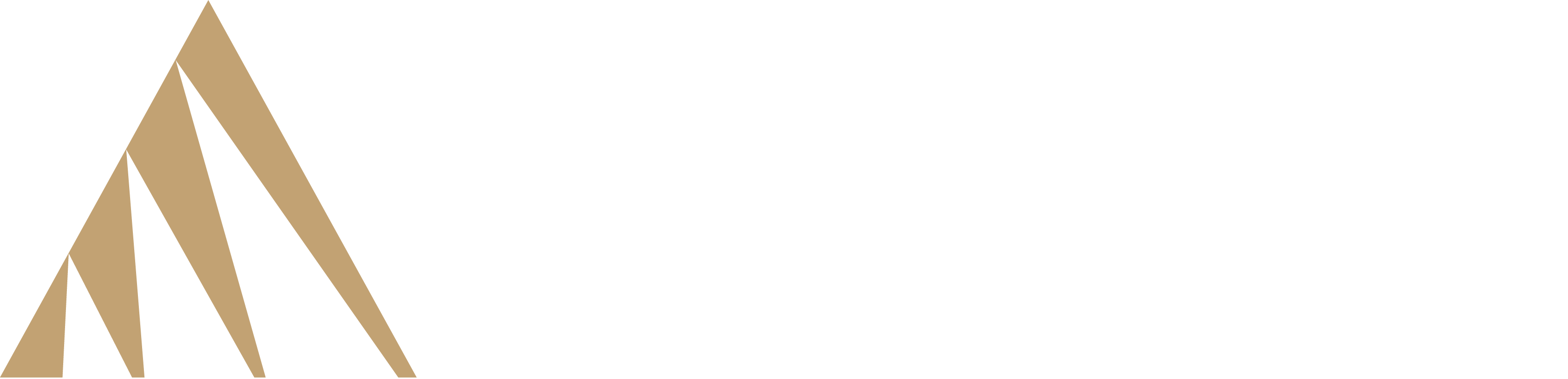 Apex Recruitment Partners